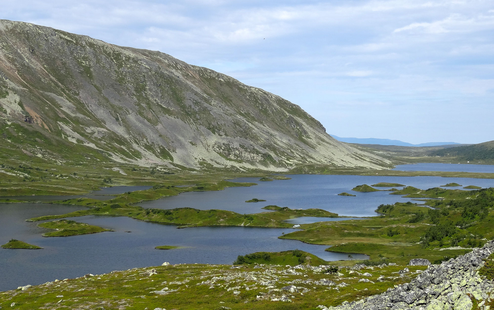 Dorrsjoarna, Graftavallen